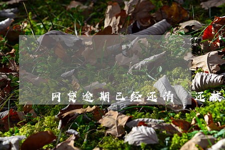 网贷逾期已经还清 还被催收 网贷逾期已经还清 还被催收